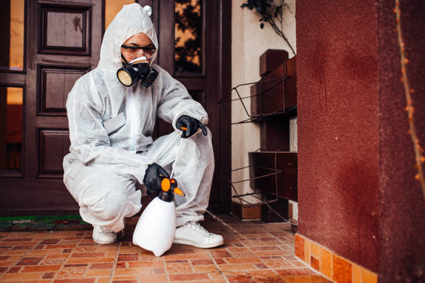 Reliable Wasp Removal contractor in Sand Springs, OK by Show Me Pest Control