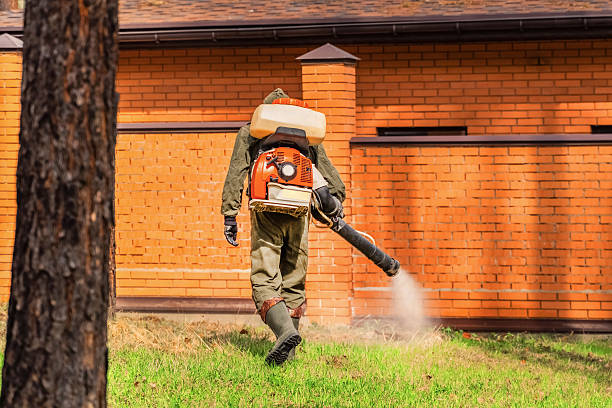 Top rated local Wasp Removal specialists in Sand Springs, OK